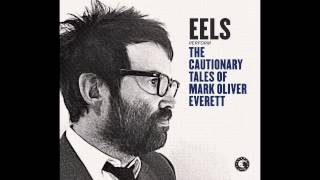 EELS  A Swallow In The Sun audio stream [upl. by Elram449]