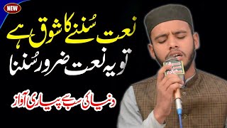 Huzoor Meri To Sari Bahar Aap Say Hai  Best Naat 2024  Anees Raza Qadri  Hit Ramzan Kalam [upl. by Ojiram822]