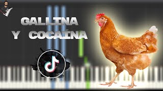 Gallina y Cocaína  Instrumental Piano Tutorial  Partitura  Karaoke  MIDI [upl. by Lewellen]