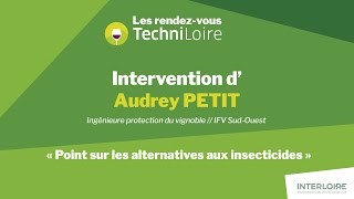 Les RDV TechniLoire 2024  Alternatives aux traitements insecticides contre la flavescence dorée [upl. by Demy895]