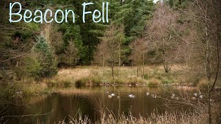 Beacon Fell in the Forest of Bowland Lancashire [upl. by Gniy]