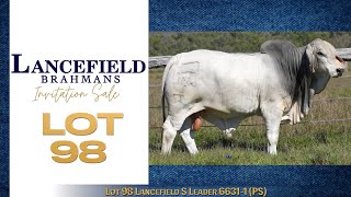 Lot 98 Lancefield S Leader 66311 PS [upl. by Freudberg]