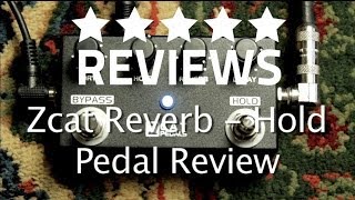 Zcat Reverb  Hold Pedal  Demo and Review  I LOVE THIS PEDAL [upl. by Brie]