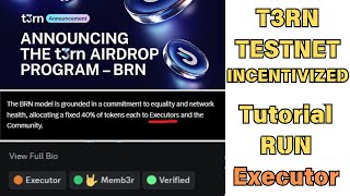 T3RN TESTNET INCENTIVIZED  HOW TO RUN EXECUTOR [upl. by Anoerb]