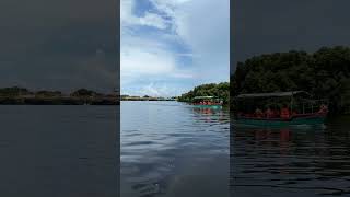 mangrove forest Pondicherry 2 [upl. by Berga782]