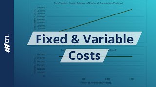 Fixed and Variable Costs [upl. by Oreves515]