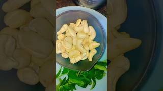 ghee roasted masala cashew quick snack recipe shortvideo [upl. by Annat]