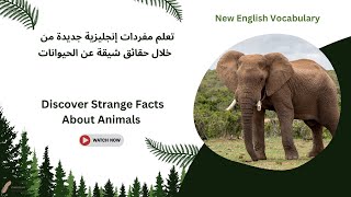 تعلم الإنجليزية من خلال حقائق عن الحيوانات التي قد لا تعرفها الجزء الأول New English Vocabulary [upl. by Nottus]