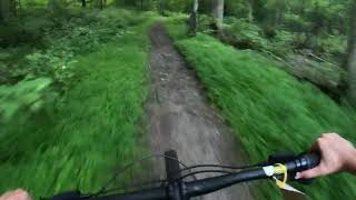 Riding a Giant Stance 29 2 at rock house hill sanctuary bike park after rain [upl. by Innus]