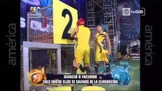 EEG Lunes 09112015 parte 35  Décima Temporada [upl. by Leahcimrej]