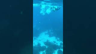 🐠снорклинг на Пхукете какой он 🤿Snorkeling in Phuket what is it like 🪸 [upl. by Bouchard603]