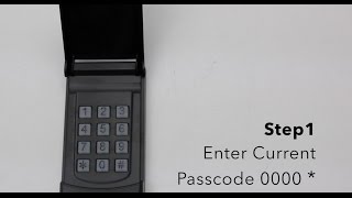 Skylink Keyless Entry Model KN318  Changing Passcode [upl. by Specht]