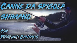 Pierluigi Cantafio e le canne da Spigola Shimano [upl. by Vinna324]