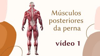 Vídeo 1 músculos posteriores superficiais da perna gastrocnêmio sóleo e plantar [upl. by Lattimer]