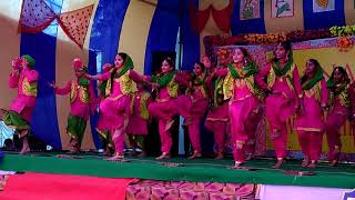 Panacea sen sec public school annual functions 2017 [upl. by Dlaner]