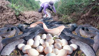 Episodes 566 best fisherman catch many fish at field near village best hand fishing [upl. by Bradley818]