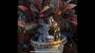 Solar Elephant Garden Statue Figurine with turtle and succulent [upl. by Orvas]