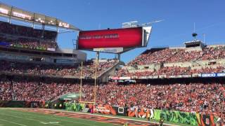 Cincinnati Bengals Growl Fight Song [upl. by Materi]