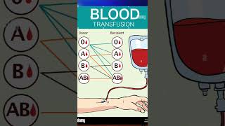 Blood transfusion biology blood group science A blood group universal donor सर्वदाता रक्त समूह [upl. by Ielak]