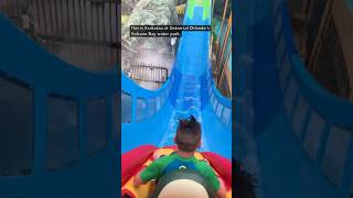 Top 5 rides RANKED at Universal Orlando waterpark 🤯 shorts universalstudios volcanobay [upl. by Nihahs]