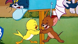 Tom amp Jerry New cartoon video।। new episode।।cartoon video।। kids fun।। video [upl. by Dry]