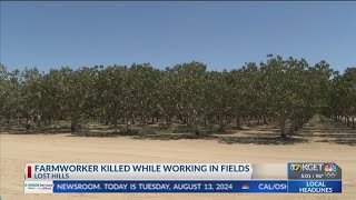 CalOSHA investigating death of farmworker who was crushed to death in Lost Hills [upl. by Trant492]