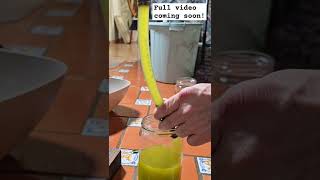 Making Olive Oil Separating the Oil and Water [upl. by Leroj]