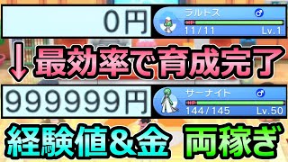 【ダイパリメイク】最効率で育成 金策amp経験値 両稼ぎ バグなしで毎日可能 100万円レベル50UP【ポケモンBDSP】 [upl. by Redvers]