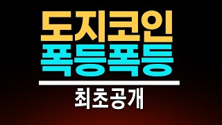 일론머스크의 미친 계획으로 도지코인이 이렇게 폭등합니다 [upl. by Beverly920]