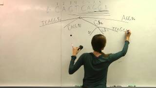 Creating the Suffix Tree  Conceptually [upl. by Eissat]