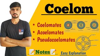 Coelom amp Its Types In Hindi  Coelomates  Acoelomates  Pseudocoelomates  By Dadhich Sir [upl. by Noryak]