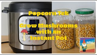 Mycology Basics How to Make Grain Spawn Jars with an Instant Pot Popcorn Tek Grow Mushrooms At Home [upl. by Auberta]