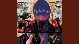 La paca [upl. by Ajtak]