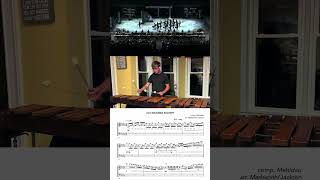 best marimba lick in WGI24 how Rhythm X auditions marimba players must learn absolute 🔥🔥🔥 [upl. by Shirley545]