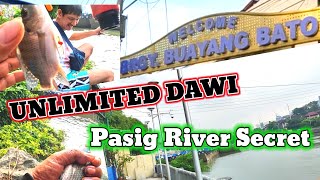 UNLIMITED DAWI PASIG RIVER SECRET [upl. by Burty49]