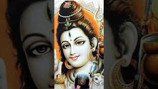 Om Namah Shivaya shiva songs Shivaya songs shorts youtubeshorts song status sanatandharma [upl. by Nnairrek115]