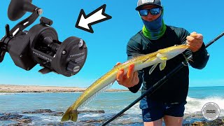 🙄 Pescando variada con Penn Fathom 2 Casting Special en las piedras surfcasting fishing pesca [upl. by Ilise]