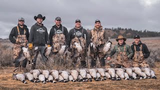 Pipe Dream  7 Man Goose Limit  WESTWARD Part I [upl. by Aneerak]