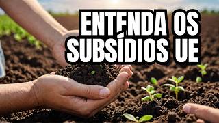 🌾💰 O Que São Subsídios Agrícolas Entenda Seus Impactos 💰🌾 [upl. by Aliza]