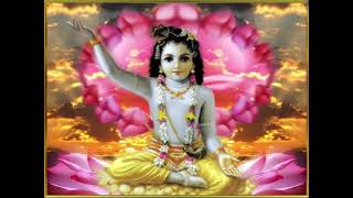 Sri Krishna Ashtakam Bhaje Vrajaika Mandanam – Full with English Translations [upl. by Luapleahcim]