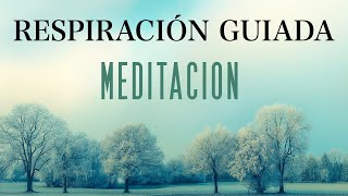 Meditación Pranayama Ejercicios de Respiración [upl. by Accire]