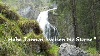 Hohe Tannen weisen die Sterne [upl. by O'Toole968]