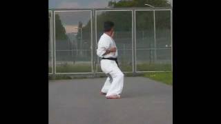 Bassai Dai kyokushin kata 抜塞大 [upl. by Netsirk302]