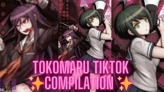 ✨TOKOMARU TIKTOK COMPILATION ✨ [upl. by Cowley]