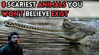 😱😱THE 8 SCARIEST ANIMALS IN THE WORLD [upl. by Ahsaelat]