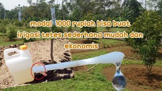 TUTORIAL IRIGASI TETES SEDERHANA DARI BOTOL 5 LITER [upl. by Sanfo]