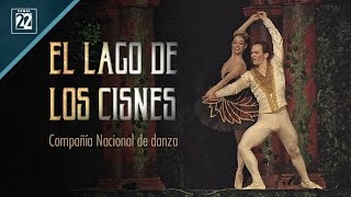 Tchaikovsky El lago de los cisnes Compañía Nacional de Danza [upl. by Enisamoht]