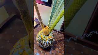 Hand crafts  home decor  decoration with egg shell  decoration ideas [upl. by Naehs]