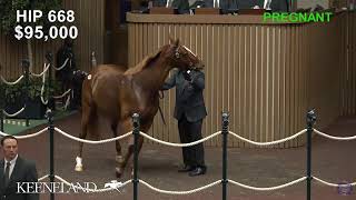 Keeneland Live Feed [upl. by Corydon211]