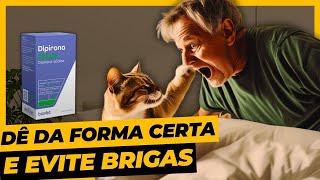 Como Dar Dipirona Para Gato Da Forma Correta e Contraindicações [upl. by Ssepmet]